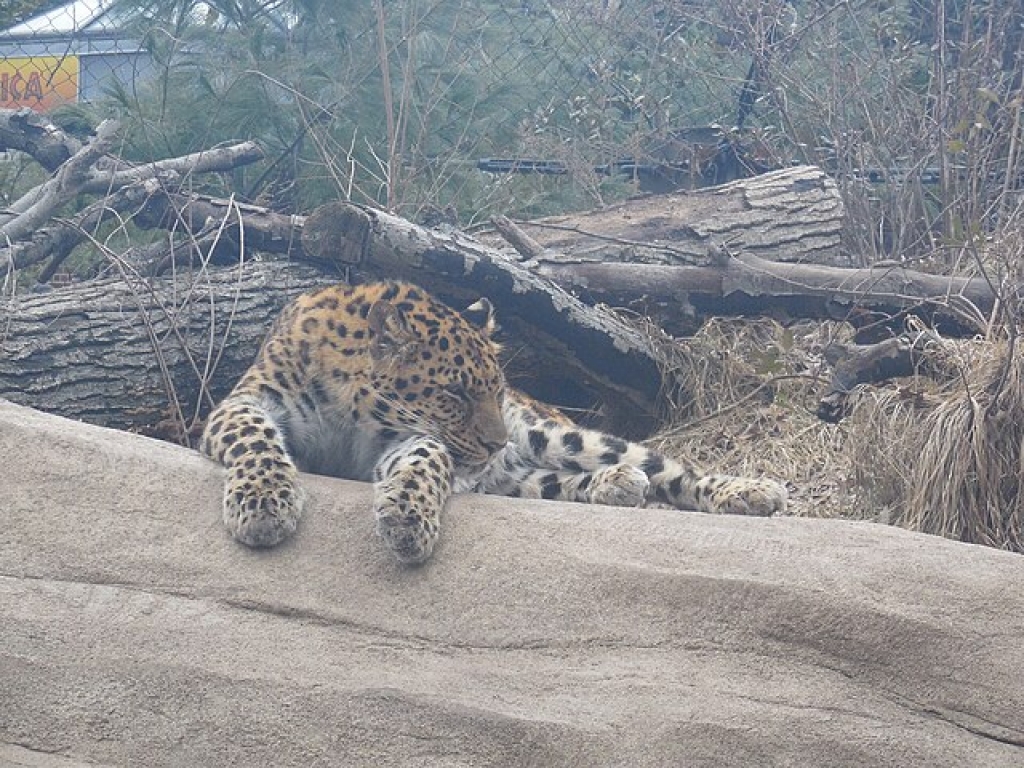 Staten Island Zoo